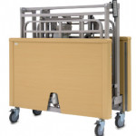 Apollo Olympus Bariatric Folding Bed