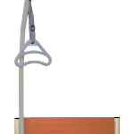 Bariatric Lifting Pole