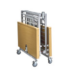 Apollo Olympus Bariatric Folding Bed